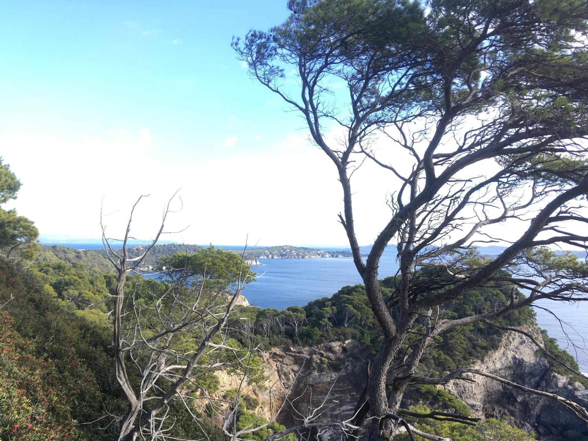 L Annexe Des Sables Βίλα Ιέρ Εξωτερικό φωτογραφία